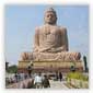 Golden Triangle with Buddhist Circuit Tour