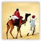 Desert Camel Safari At Thar Desert In Jaisalmer (Rajasthan)